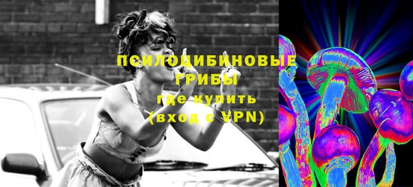 мдма Богданович