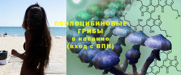 мдма Богданович